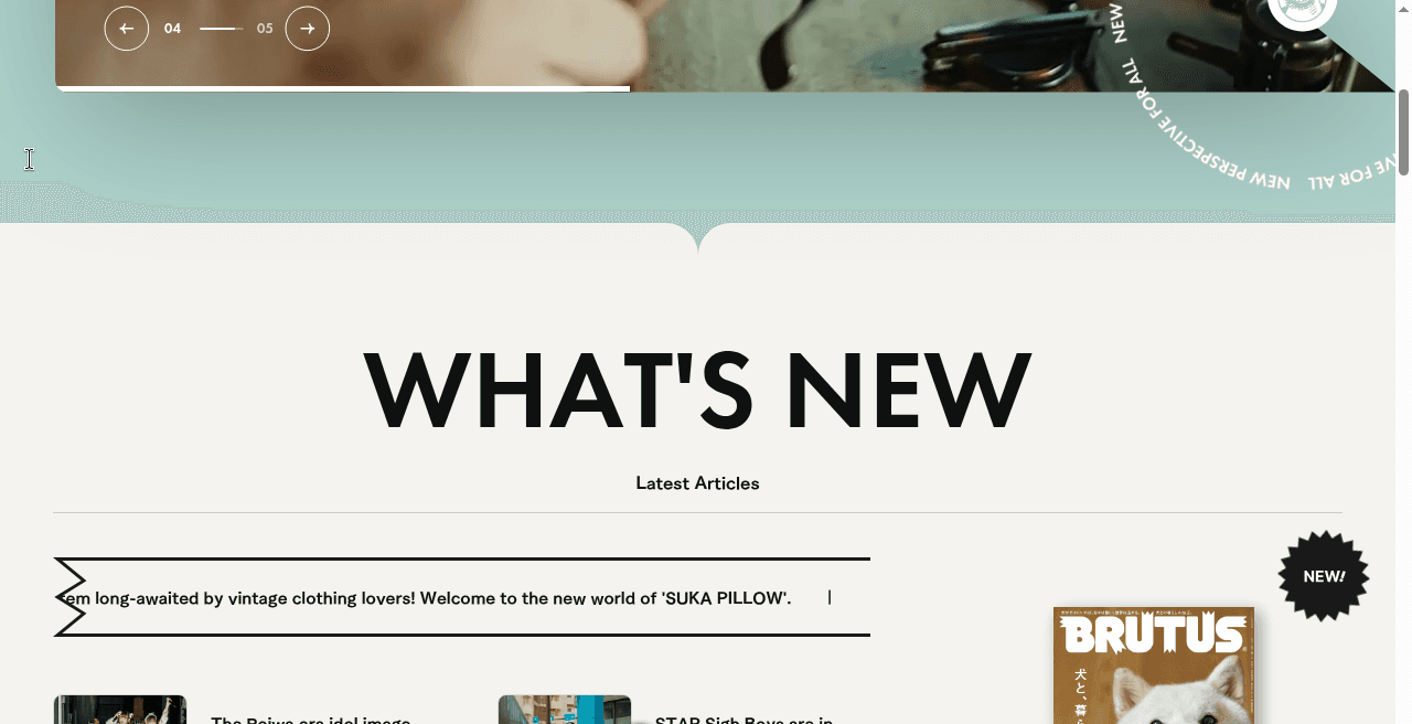 生成り地の中央に WHAT'S NEW と Latest Articles。ギザギザの帯に SUKA PILLOW、右に NEW! と白い犬の表紙